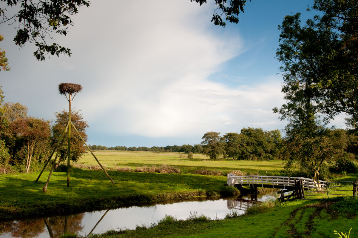 Wandelroute 'Landgoederen De Wijk' - B&B De EekhoornB&B De Eekhoorn